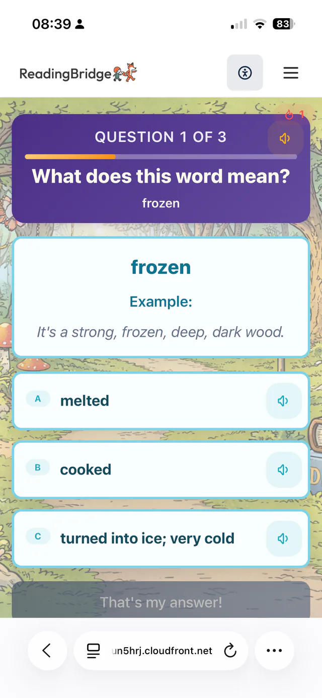 Vocabulary activity